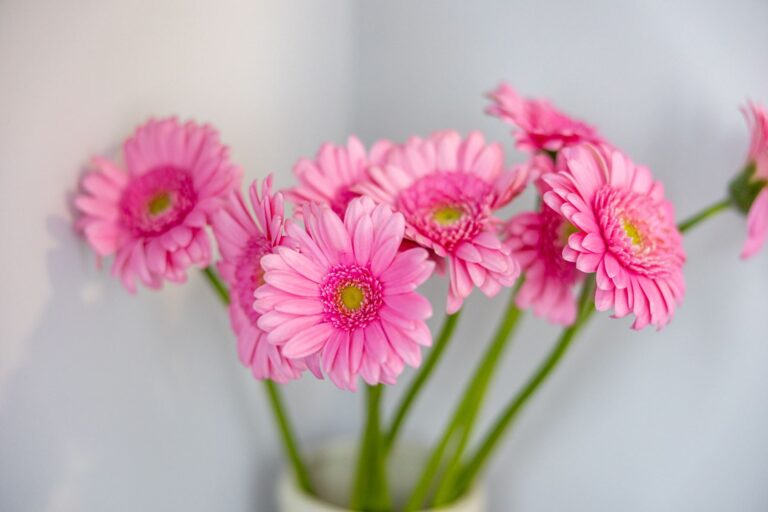 Pensjonat_2048px-148